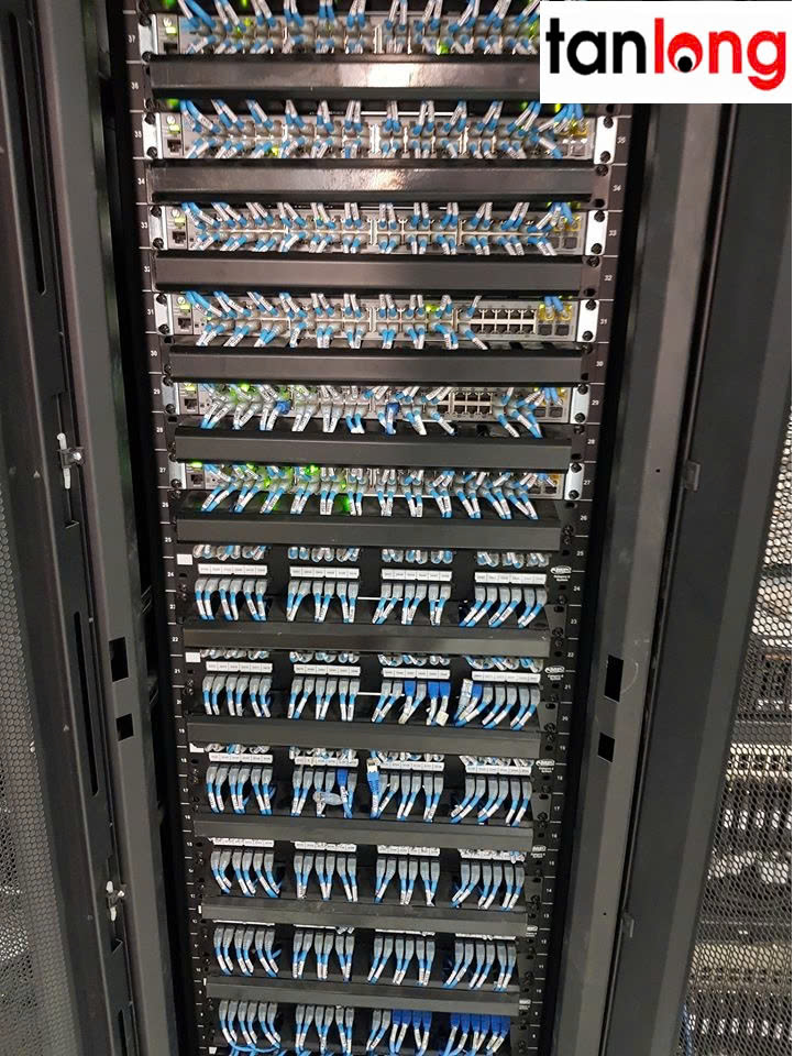 THI CÔNG MẠNG LAN HIỆU QUẢ CÙNG TÂN LONG